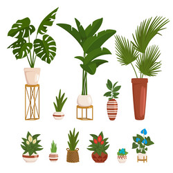 cartoon style set of potted plants vector image