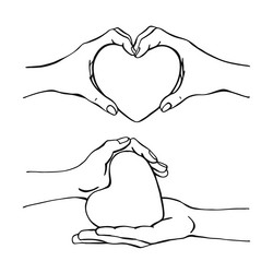 hands holding heart hand drawn vector image