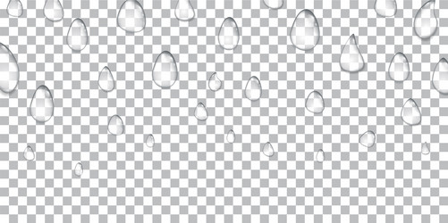 Water drops realistic isolated on transparent vector