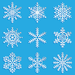 snowflakes set elegant vector image