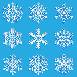 snowflakes set elegant vector image