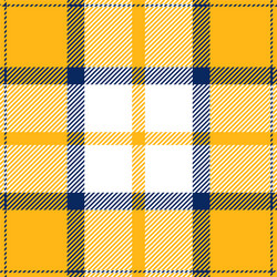 yellow and blue tartan plaid scottish pattern vector image