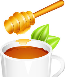 honey vector image