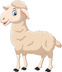 cartoon happy lamb isolated on white background vector image