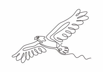 continuous one line drawing of eagle or hawk bird vector image