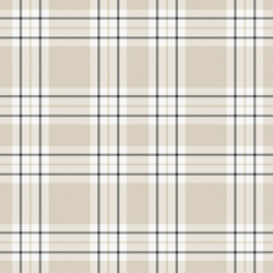 brown minimal plaid textured seamless pattern vector image