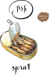 opened preserve of sprats vector image