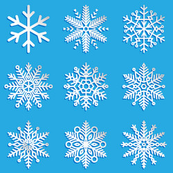 snowflakes set elegant vector image