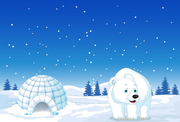 cute polar bear cartoon concept vector image