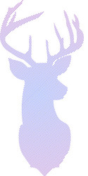 striped head of deer vector image