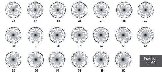 fraction pie clip art for education on white back vector image