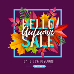 autumn big sale typography poster with vector image