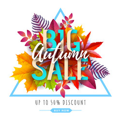 autumn big sale typography poster with vector image