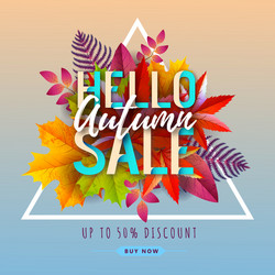 autumn big sale typography poster with vector image