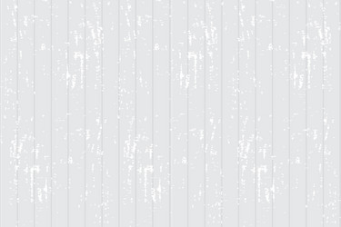 graphic created white wood texture hand vector image