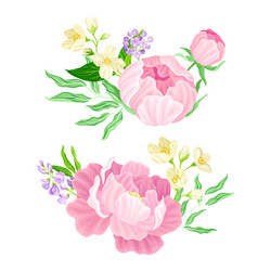 bouquet of delicate rose flowers set pink vector image