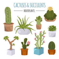 cactuses and succulents icon set houseplants vector image