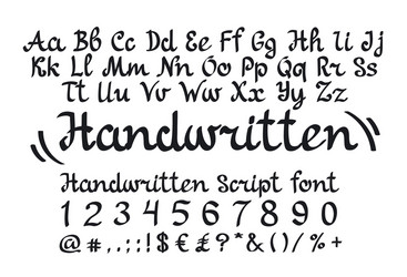 handlettering script font vector image