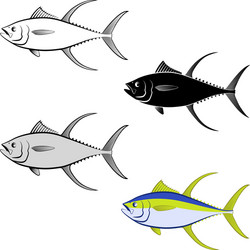 tuna vector image