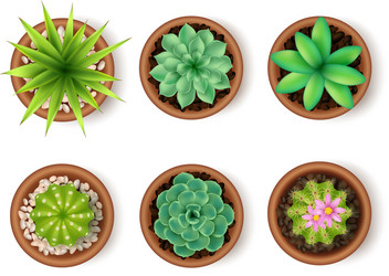 plants icon set vector image