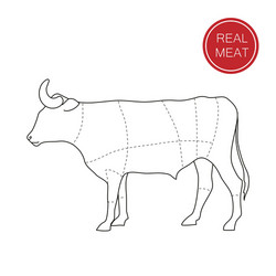 Real meat vector