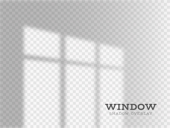 shadow overlay window effect for mockup realistic vector image