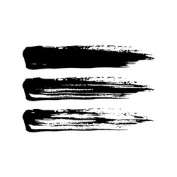 grunge paint brush stroke set vector image