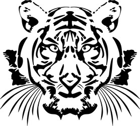 handdrawn tiger head chinese symbol of the new vector image