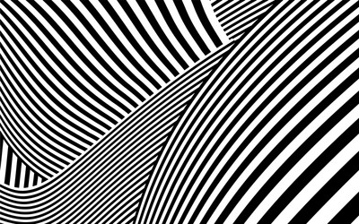 zebra design black and white stripes vector image