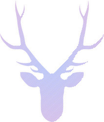 striped head of deer vector image