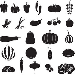 vegetables vector image