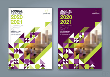 cover annual report 2048 vector image