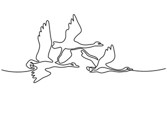 continuous one line drawing flying swans logo vector image