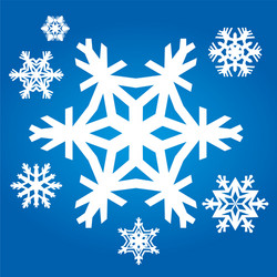 set from original snowflakes vector image