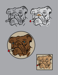 dog face vector image