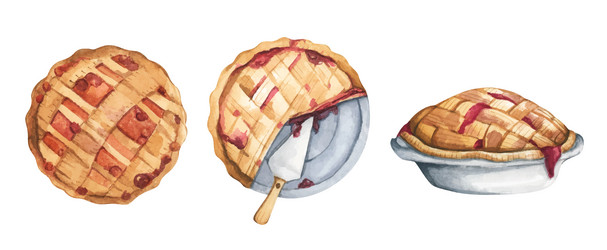 watercolor painting of dessert pie set vector image