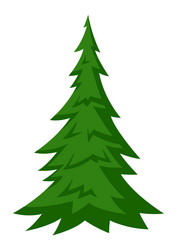 Fir tree forest or park landscape vector