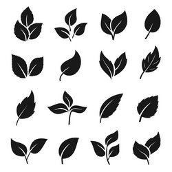 leaf silhouette black set decoration element vector image