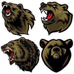 bear logo set premium collection vector image