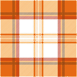 orange tartan plaid seamless pattern vector image