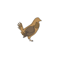 One continuous line drawing of funny grouse bird vector