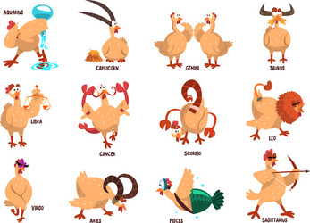 funny farm chicken showing 12 zodiac signs vector image