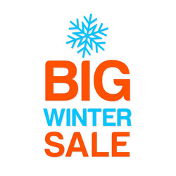 big winter sale template vector image