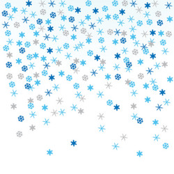 snowflakes vector image