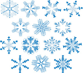 snowflakes vector image