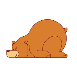 Bear sleep isolated wild beast vector