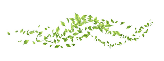 green flying leaves vector