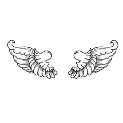 a pair of wings in black and white done vector image