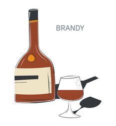 brandy alcoholic beverage in bottle and glass vector image