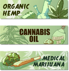 marijuana banner set vector image